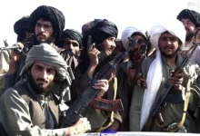 افغانی ها عامل بیکاری