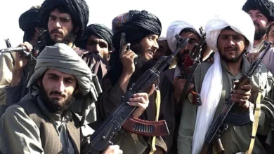 افغانی ها عامل بیکاری