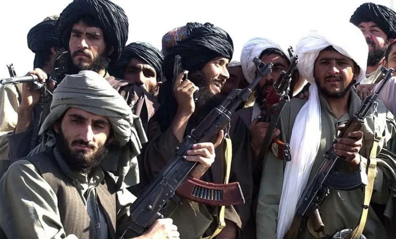 افغانی ها عامل بیکاری